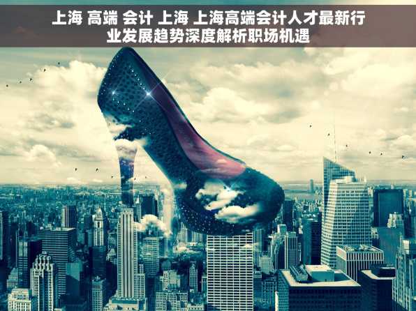上海 高端 会计 上海 上海高端会计人才最新行业发展趋势深度解析职场机遇