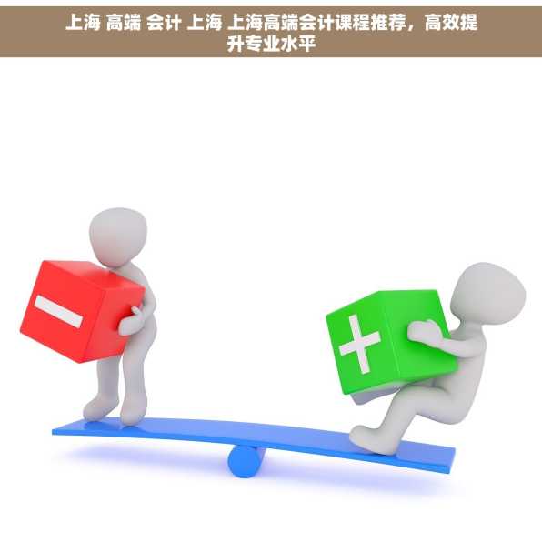 上海 高端 会计 上海 上海高端会计课程推荐，高效提升专业水平