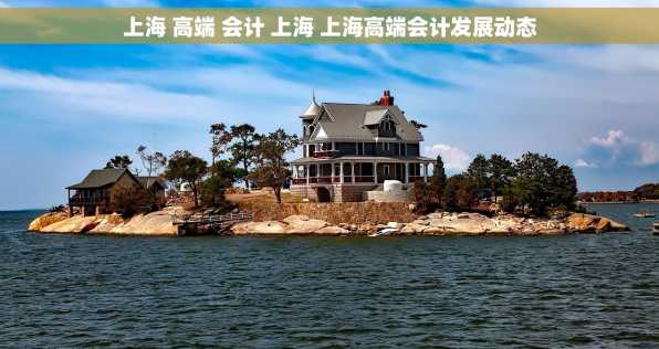 上海 高端 会计 上海 上海高端会计发展动态