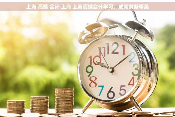 上海 高端 会计 上海 上海高端会计学习，成就财务精英