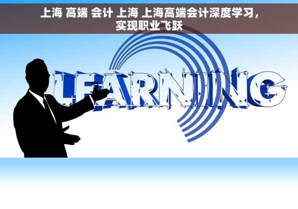 上海 高端 会计 上海 上海高端会计深度学习，实现职业飞跃