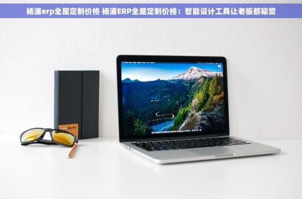 杨浦erp全屋定制价格 杨浦ERP全屋定制价格：智能设计工具让老板都称赞