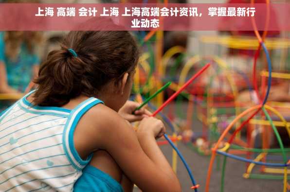 上海 高端 会计 上海 上海高端会计资讯，掌握最新行业动态
