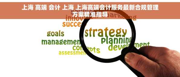 上海 高端 会计 上海 上海高端会计服务最新合规管理方案精准指导