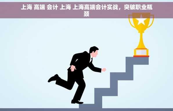 上海 高端 会计 上海 上海高端会计实战，突破职业瓶颈