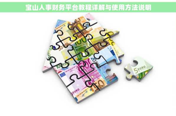 宝山人事财务平台教程详解与使用方法说明