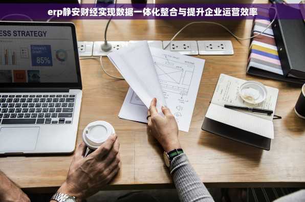 erp静安财经实现数据一体化整合与提升企业运营效率