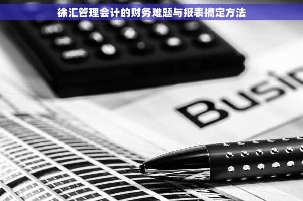 徐汇管理会计的财务难题与报表搞定方法