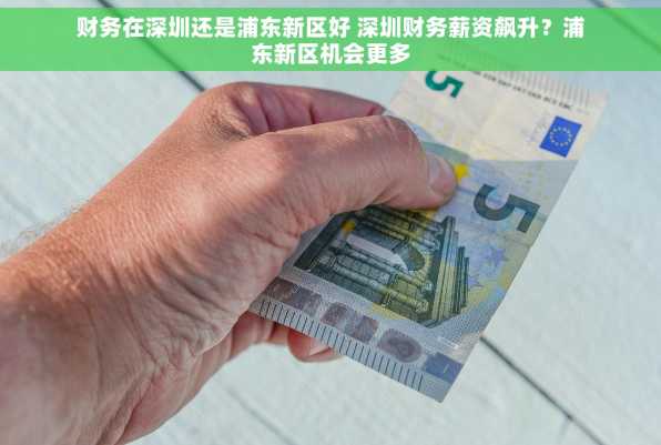 财务在深圳还是浦东新区好 深圳财务薪资飙升？浦东新区机会更多