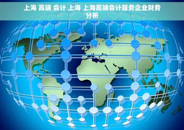 上海 高端 会计 上海 上海高端会计服务企业财务分析