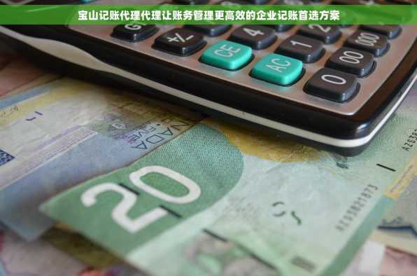 宝山记账代理代理让账务管理更高效的企业记账首选方案