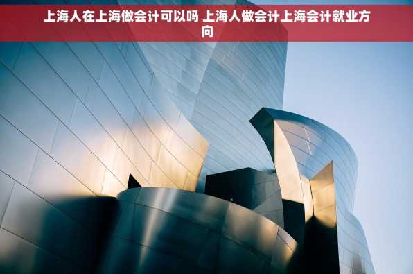 上海人在上海做会计可以吗 上海人做会计上海会计就业方向