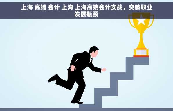 上海 高端 会计 上海 上海高端会计实战，突破职业发展瓶颈