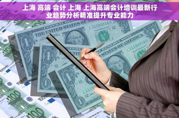 上海 高端 会计 上海 上海高端会计培训最新行业趋势分析精准提升专业能力