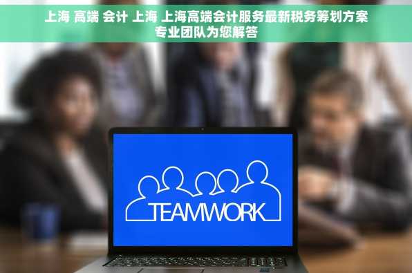 上海 高端 会计 上海 上海高端会计服务最新税务筹划方案专业团队为您解答