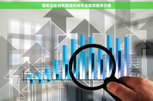 普陀企业税务管理机构专业高效服务方案