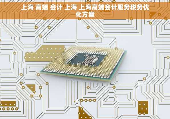 上海 高端 会计 上海 上海高端会计服务税务优化方案