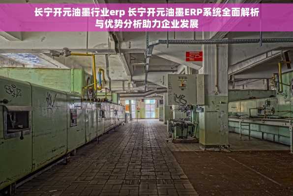 长宁开元油墨行业erp 长宁开元油墨ERP系统全面解析与优势分析助力企业发展