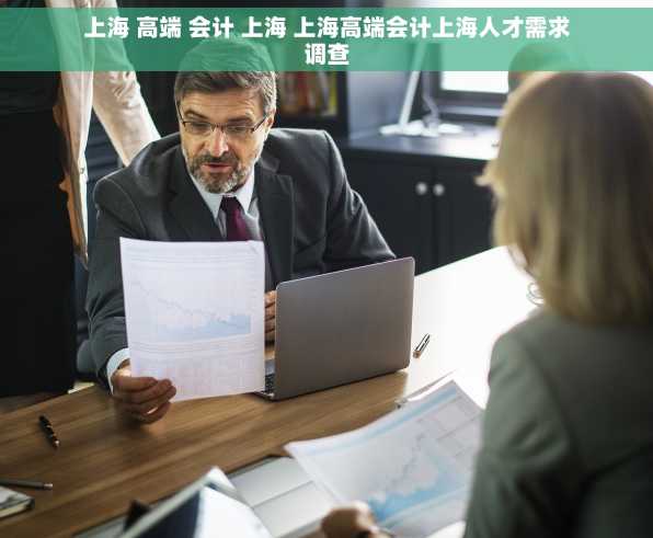 上海 高端 会计 上海 上海高端会计上海人才需求调查
