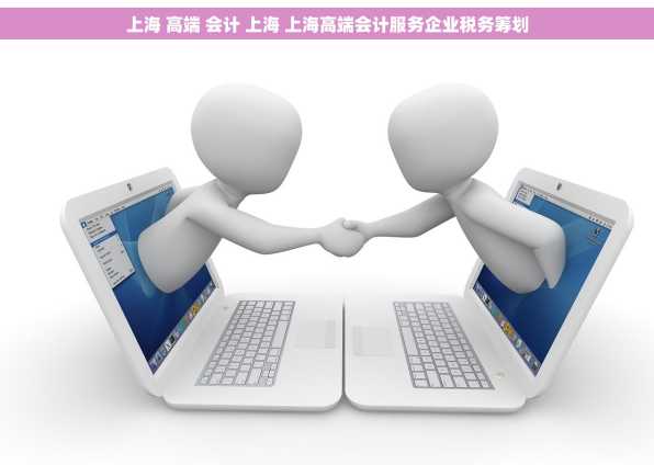上海 高端 会计 上海 上海高端会计服务企业税务筹划