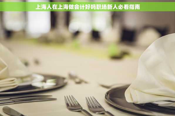 上海人在上海做会计好吗职场新人必看指南