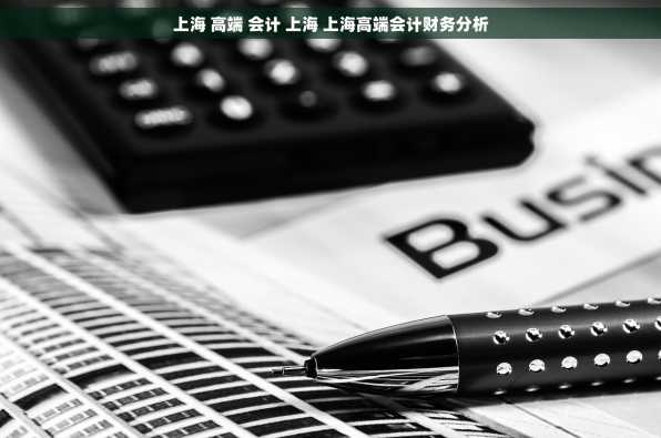 上海 高端 会计 上海 上海高端会计财务分析