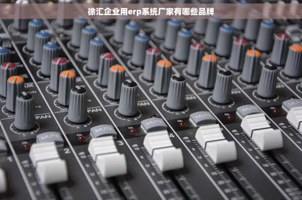 徐汇企业用erp系统厂家有哪些品牌