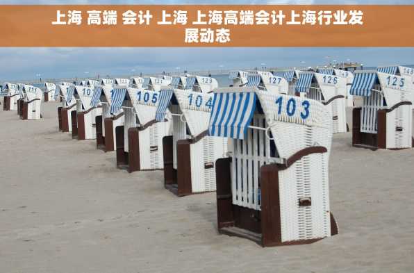 上海 高端 会计 上海 上海高端会计上海行业发展动态