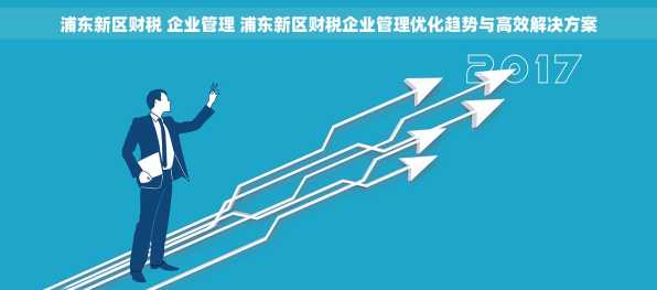 浦东新区财税 企业管理 浦东新区财税企业管理优化趋势与高效解决方案