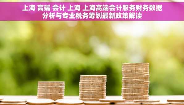 上海 高端 会计 上海 上海高端会计服务财务数据分析与专业税务筹划最新政策解读