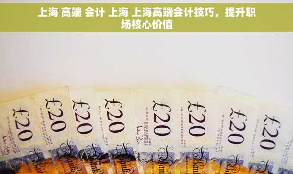 上海 高端 会计 上海 上海高端会计技巧，提升职场核心价值