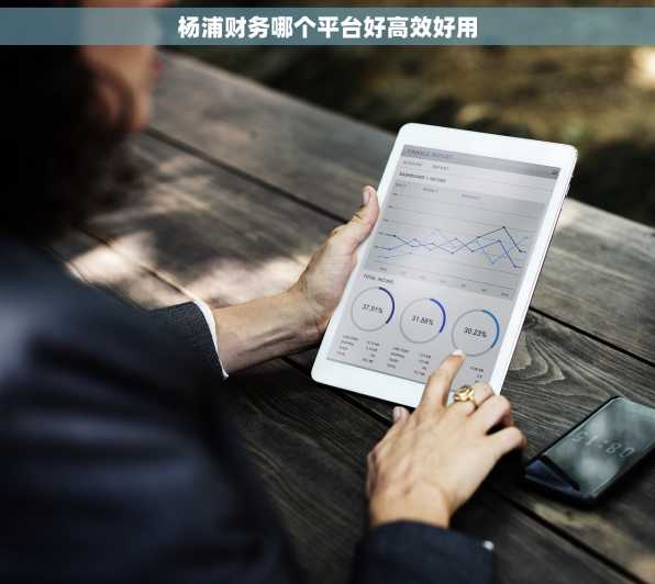 杨浦财务哪个平台好高效好用