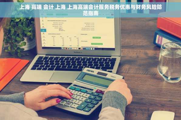 上海 高端 会计 上海 上海高端会计服务税务优惠与财务风险防范指南
