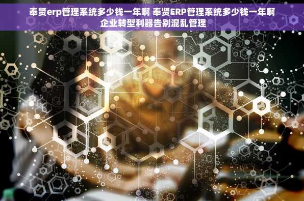 奉贤erp管理系统多少钱一年啊 奉贤ERP管理系统多少钱一年啊 企业转型利器告别混乱管理
