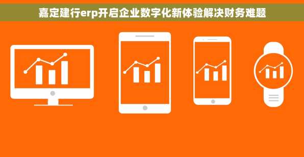嘉定建行erp开启企业数字化新体验解决财务难题