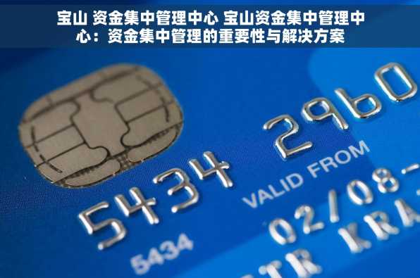 宝山 资金集中管理中心 宝山资金集中管理中心：资金集中管理的重要性与解决方案