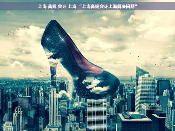 上海 高端 会计 上海 “上海高端会计上海解决问题”
