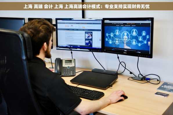 上海 高端 会计 上海 上海高端会计模式：专业支持实现财务无忧