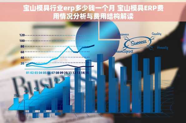 宝山模具行业erp多少钱一个月 宝山模具ERP费用情况分析与费用结构解读