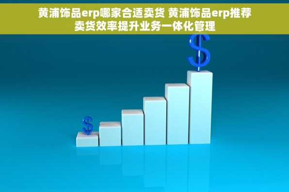 黄浦饰品erp哪家合适卖货 黄浦饰品erp推荐卖货效率提升业务一体化管理