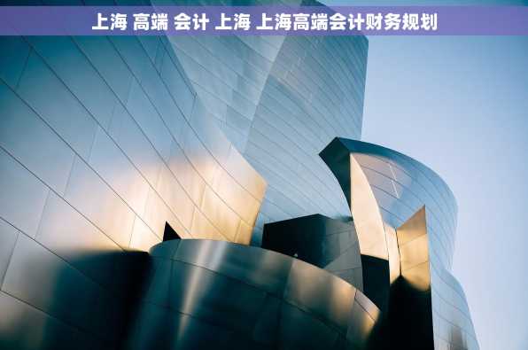 上海 高端 会计 上海 上海高端会计财务规划