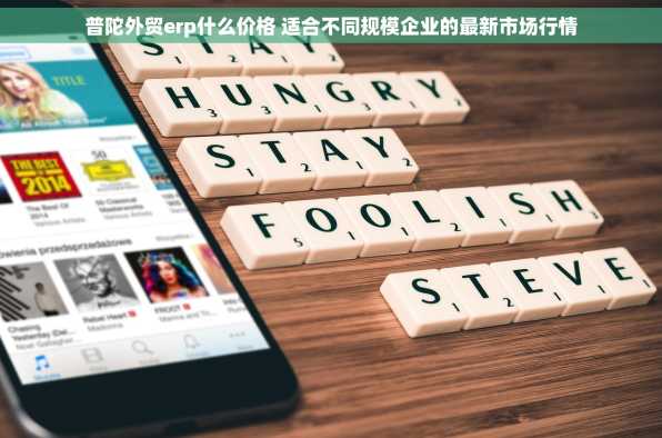 普陀外贸erp什么价格 适合不同规模企业的最新市场行情