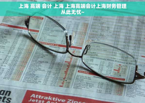 上海 高端 会计 上海 上海高端会计上海财务管理从此无忧~