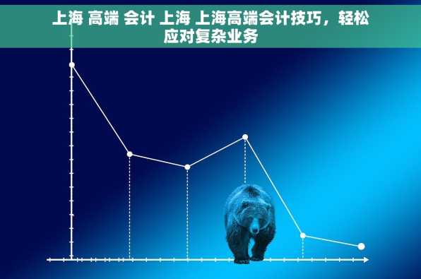 上海 高端 会计 上海 上海高端会计技巧，轻松应对复杂业务
