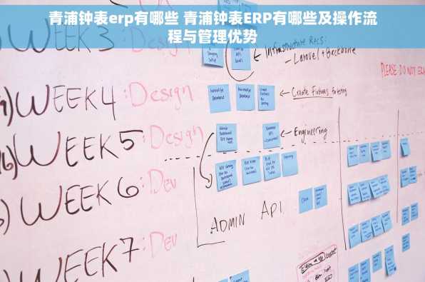 青浦钟表erp有哪些 青浦钟表ERP有哪些及操作流程与管理优势