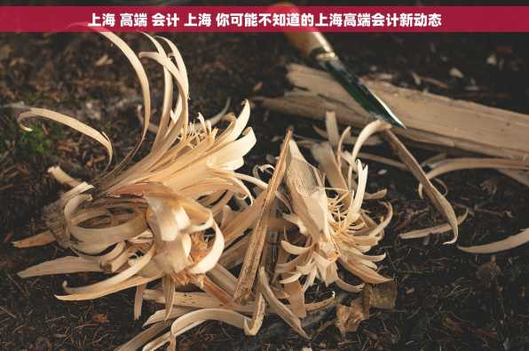 上海 高端 会计 上海 你可能不知道的上海高端会计新动态