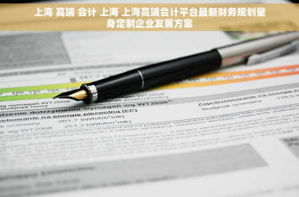上海 高端 会计 上海 上海高端会计平台最新财务规划量身定制企业发展方案