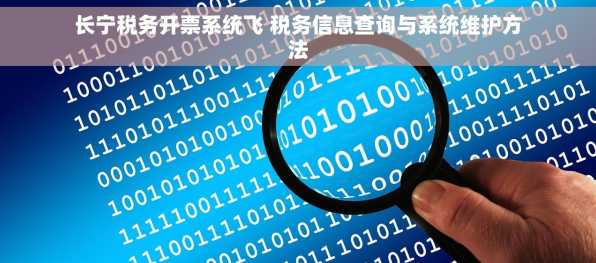 长宁税务开票系统飞 税务信息查询与系统维护方法