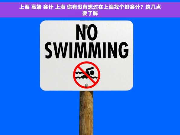 上海 高端 会计 上海 你有没有想过在上海找个好会计？这几点要了解