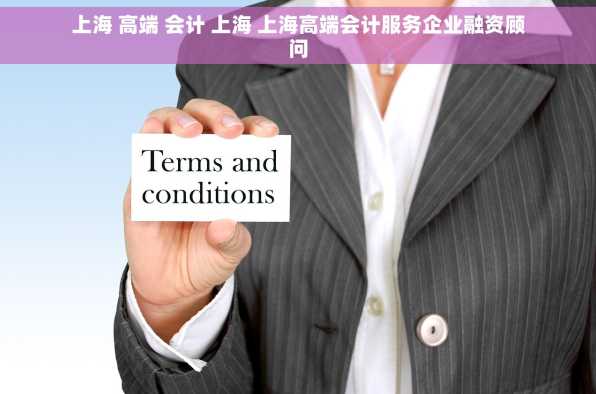 上海 高端 会计 上海 上海高端会计服务企业融资顾问